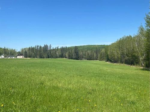 263070 Otter Creek Road, Rural Lesser Slave River No. 124, M.D. Of, AB - Outdoor With View