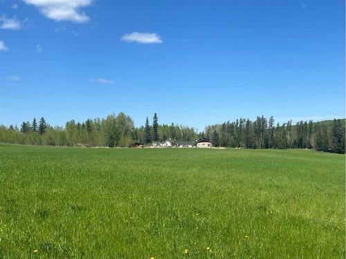 263070 Otter Creek Road, Rural Lesser Slave River No. 124, M.D. Of, AB - Outdoor With View