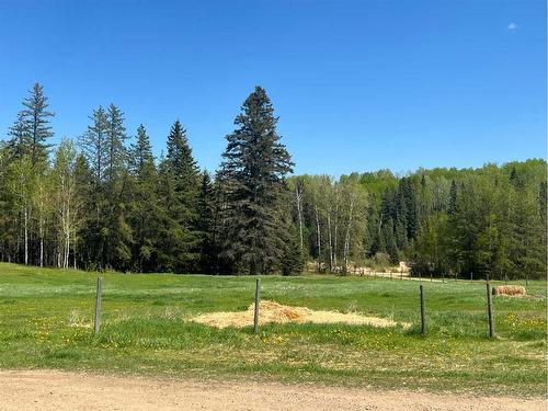 263070 Otter Creek Road, Rural Lesser Slave River No. 124, M.D. Of, AB - Outdoor With View