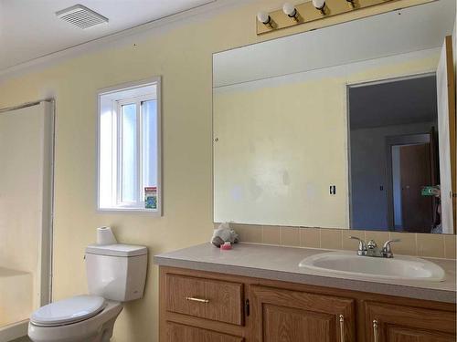 53032 Range Road 195, Rural Yellowhead County, AB - Indoor Photo Showing Bathroom
