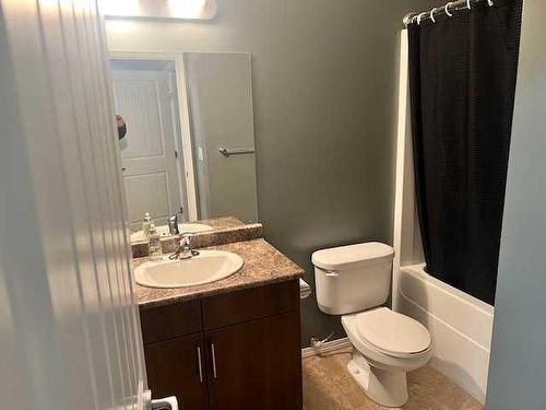 210-160 Moberly Road, Grande Cache, AB - Indoor Photo Showing Bathroom