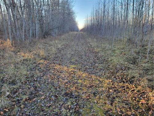 Nse-9-66-20-W4, Rural Athabasca County, AB 