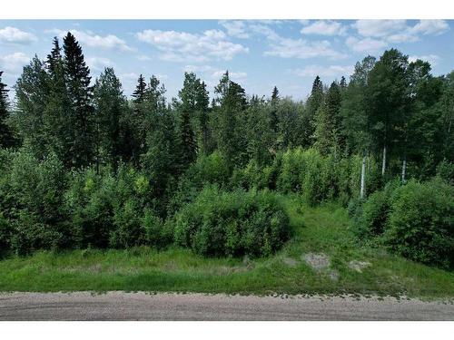 20, 112051 Township Road 591, Rural Woodlands County, AB 