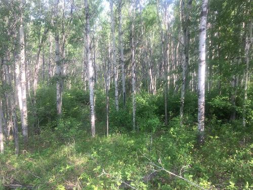 224002 Township Road 654, Rural Athabasca County, AB 