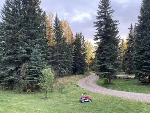 54219A Range Road 172, Rural Yellowhead County, AB - Outdoor With View
