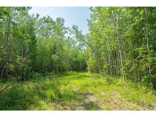 Lot 16 Estates Of East Mountain, Rural Woodlands County, AB 