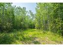 Lot 16 Estates Of East Mountain, Rural Woodlands County, AB 