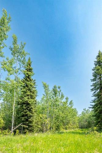 Lot 16 Estates Of East Mountain, Rural Woodlands County, AB 