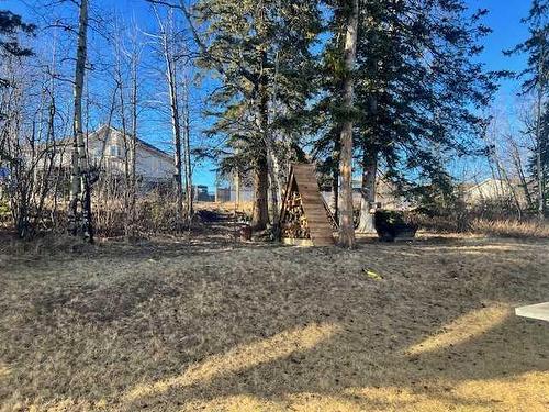 118 Moberly Road, Grande Cache, AB - Outdoor With View