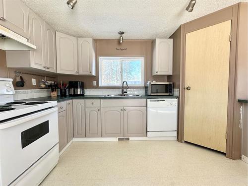 18, 592074 Range Road 121, Rural Woodlands County, AB - Indoor Photo Showing Kitchen With Double Sink