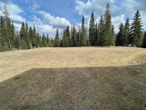 3-24426 East River Road, Rural Yellowhead County, AB - Outdoor With View