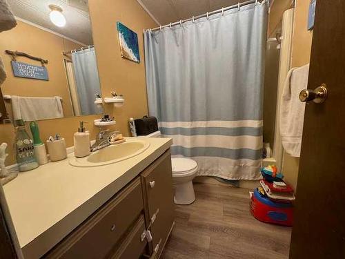 18-53407 Range Road 155, Rural Yellowhead County, AB - Indoor Photo Showing Bathroom