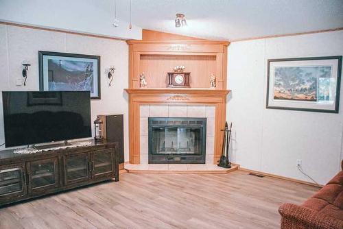 49 Nielsen Drive, Island Lake South, AB - Indoor Photo Showing Living Room With Fireplace