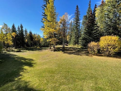 210 Seabolt Estates, Rural Yellowhead County, AB - Outdoor With View