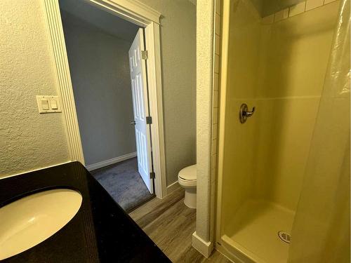 4230 Caribou Crescent, Wabasca, AB - Indoor Photo Showing Bathroom