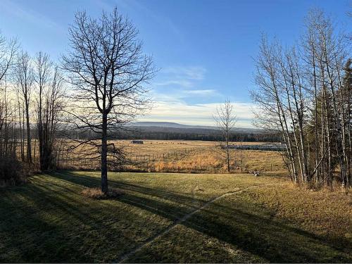 Lot 13 585084 Range Road 112, Rural Woodlands County, AB - Outdoor With View