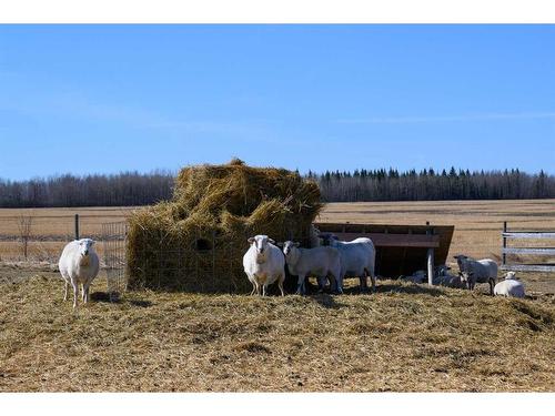 674038 Range Road 195, Rural Athabasca County, AB - Outdoor With View