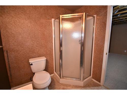 145 Hood Street, Hinton, AB - Indoor Photo Showing Bathroom
