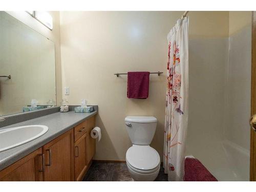 176 Scobie Crescent, Hinton, AB - Indoor Photo Showing Bathroom