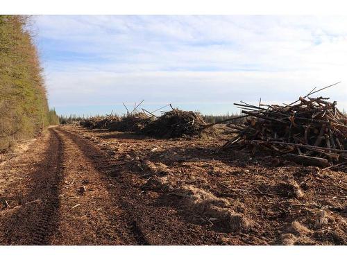 Highway 748 E, Rural Yellowhead County, AB 