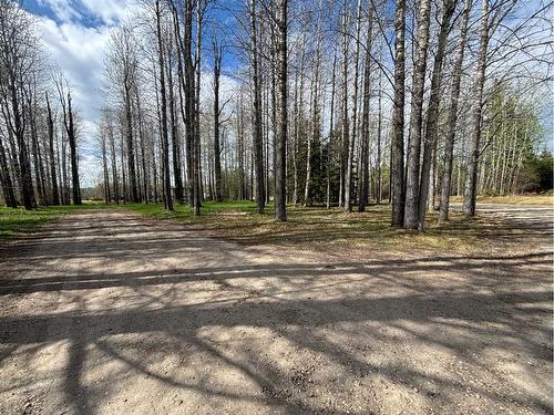 111080 Flats Road, Rural Woodlands County, AB - Outdoor With View