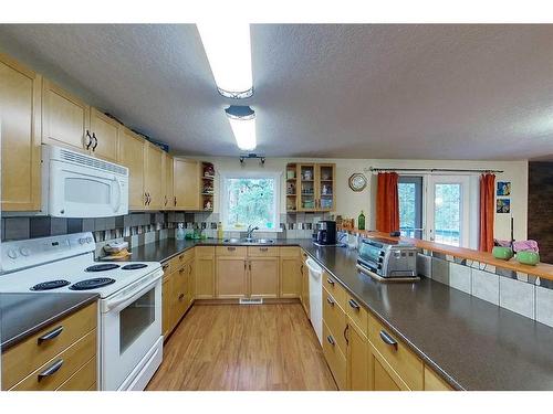 17322 Township Rd 542, Rural Yellowhead County, AB - Indoor Photo Showing Kitchen With Double Sink