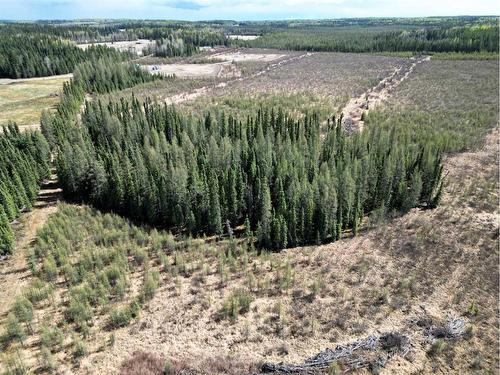17322 Township Rd 542, Rural Yellowhead County, AB - Outdoor With View