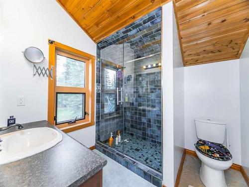 51560A Range Road 245, Rural Yellowhead County, AB - Indoor Photo Showing Bathroom