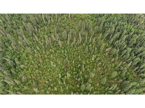 Lot 1 Plan 9925415 Holmes Trail, Slave Lake, AB 