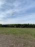 124016 Old Ferry Road, Rural Woodlands County, AB  - Outdoor With View 