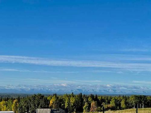 18318 Township Road 534A, Rural Yellowhead County, AB - Outdoor With View
