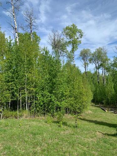 16 592056 Range Road 121, Rural Woodlands County, AB - Outdoor With View