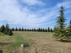 Lot 4 Tower Road  Athabasca, AB T9S 0B8