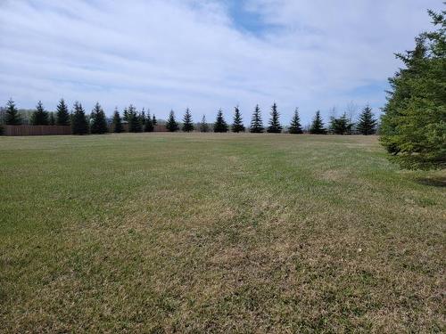 Lot 4 Tower Road, Athabasca, AB 