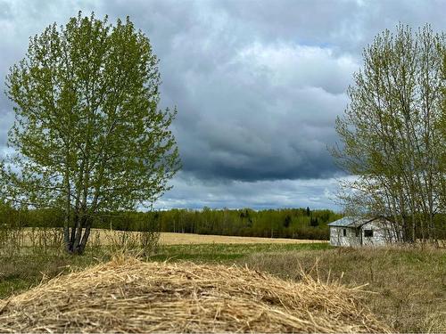 705047 Range Road 12, Rural Lesser Slave River No. 124, M.D. Of, AB - Outdoor With View