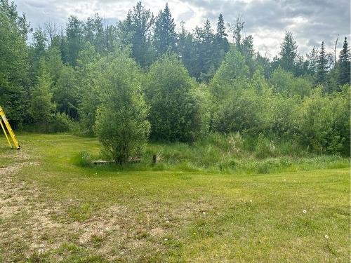16. 113040 Township Road 592, Rural Woodlands County, AB - Outdoor With View