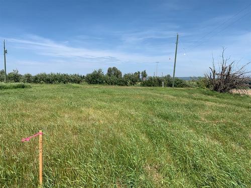 Lot 5 & 6 Old Town Road, Rural Lesser Slave River No. 124, M.D. Of, AB 