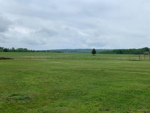 Lot 46,131074 Township Road 590, Rural Woodlands County, AB - Outdoor With View