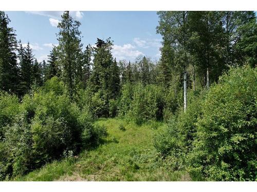 20, 112051 Township Road 591, Rural Woodlands County, AB 