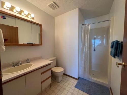 4824 9 Avenue, Edson, AB - Indoor Photo Showing Bathroom