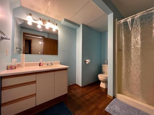 4824 9 Avenue, Edson, AB - Indoor Photo Showing Bathroom