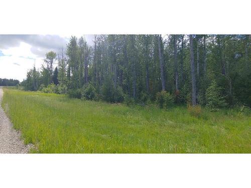 53018 Range Road 175 #14, Rural Yellowhead County, AB 