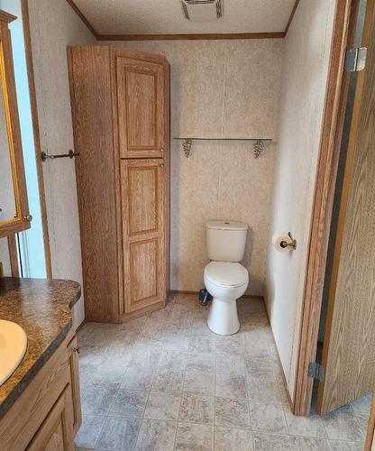 414 10 Street, Fox Creek, AB - Indoor Photo Showing Bathroom