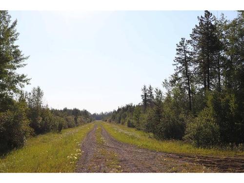 Ne - 16-53-11 W5 Range Road 113, Rural Yellowhead County, AB 