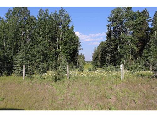 Ne - 16-53-11 W5 Range Road 113, Rural Yellowhead County, AB 