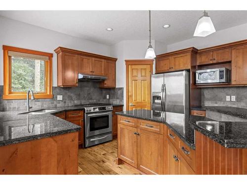 227 Miskow Close, Canmore, AB - Indoor Photo Showing Kitchen With Upgraded Kitchen