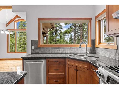 227 Miskow Close, Canmore, AB - Indoor Photo Showing Kitchen With Double Sink