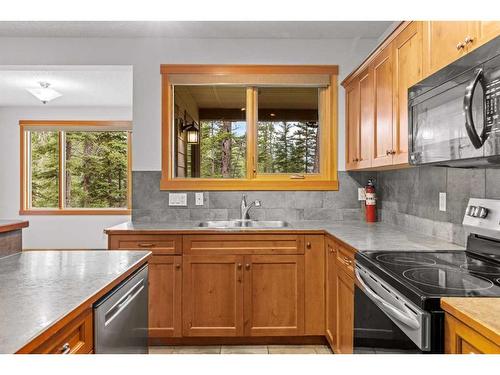 227 Miskow Close, Canmore, AB - Indoor Photo Showing Kitchen With Double Sink