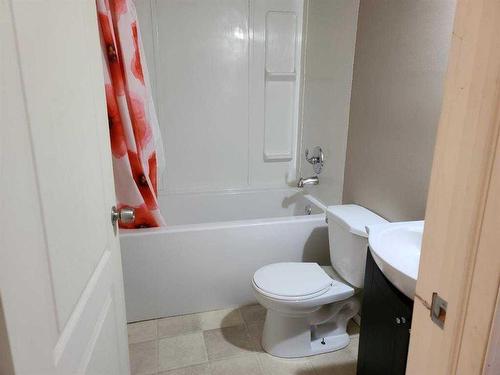 4260 Caribou Crescent, Wabasca, AB - Indoor Photo Showing Bathroom