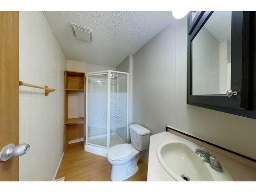 53113 Range Road 124, Rural Yellowhead County, AB - Indoor Photo Showing Bathroom